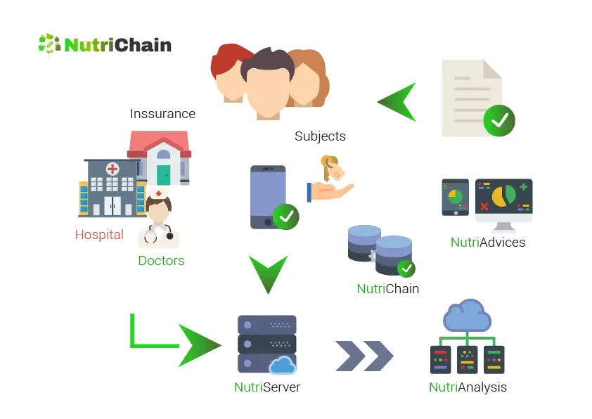 Nutrichain Infographic by Patrick Widmer