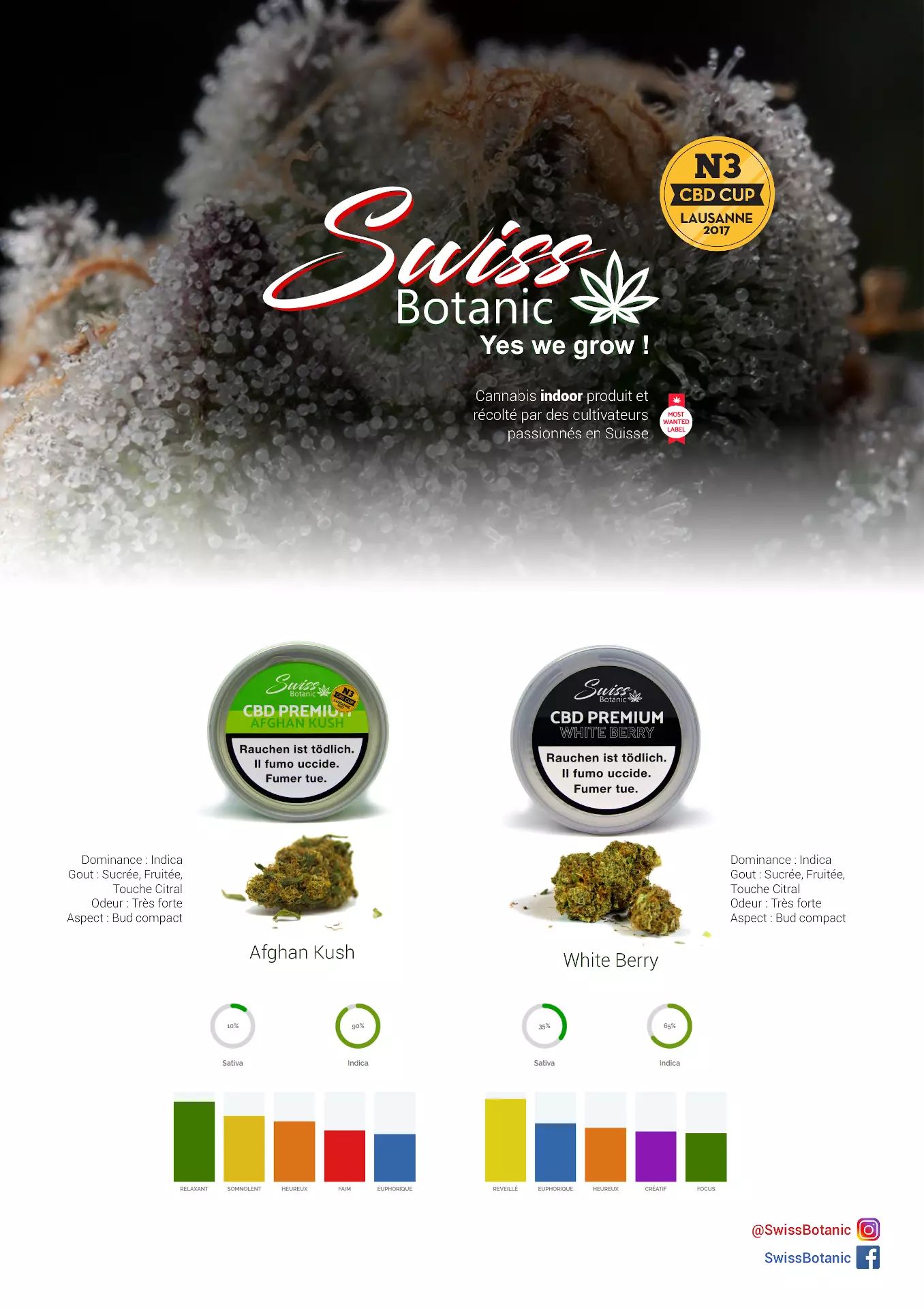 Swissbotanic poster with taste chart A1 by Patrick Widmer