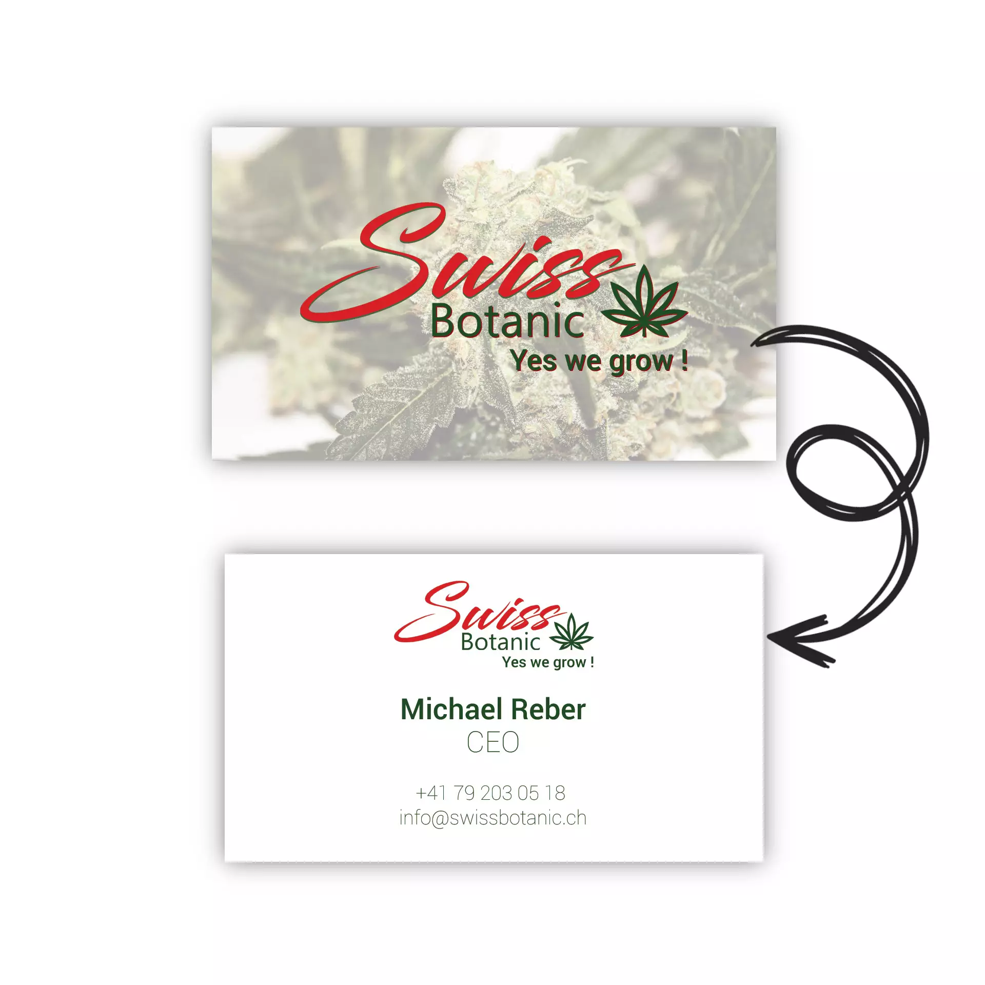 Swissbotanic visiting business cards by Patrick Widmer